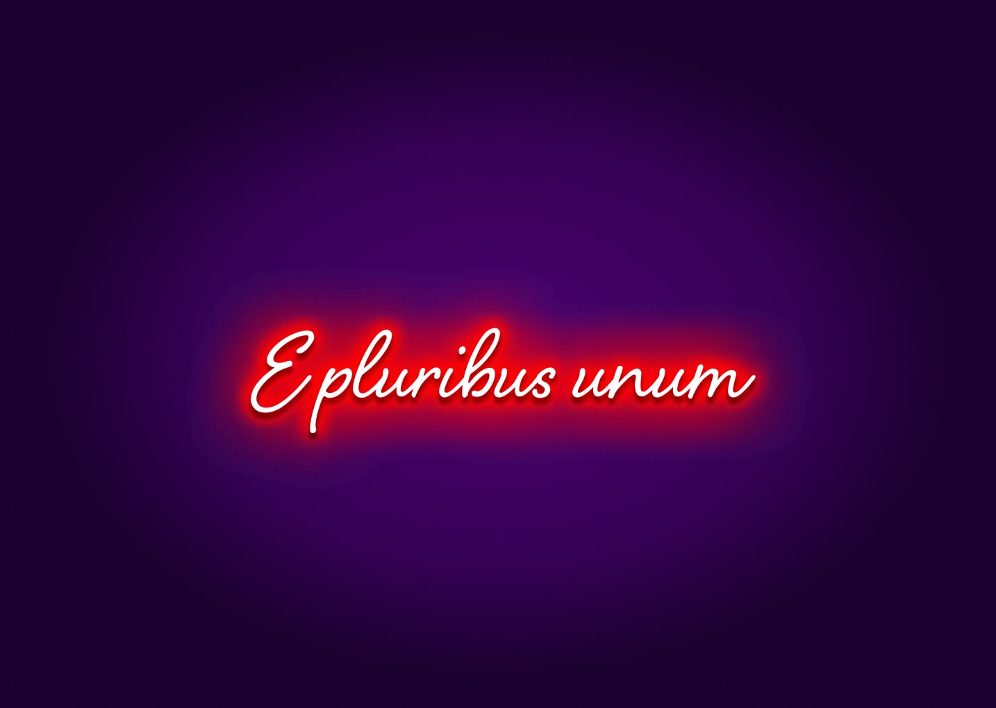 E pluribus unum - Neon Sign