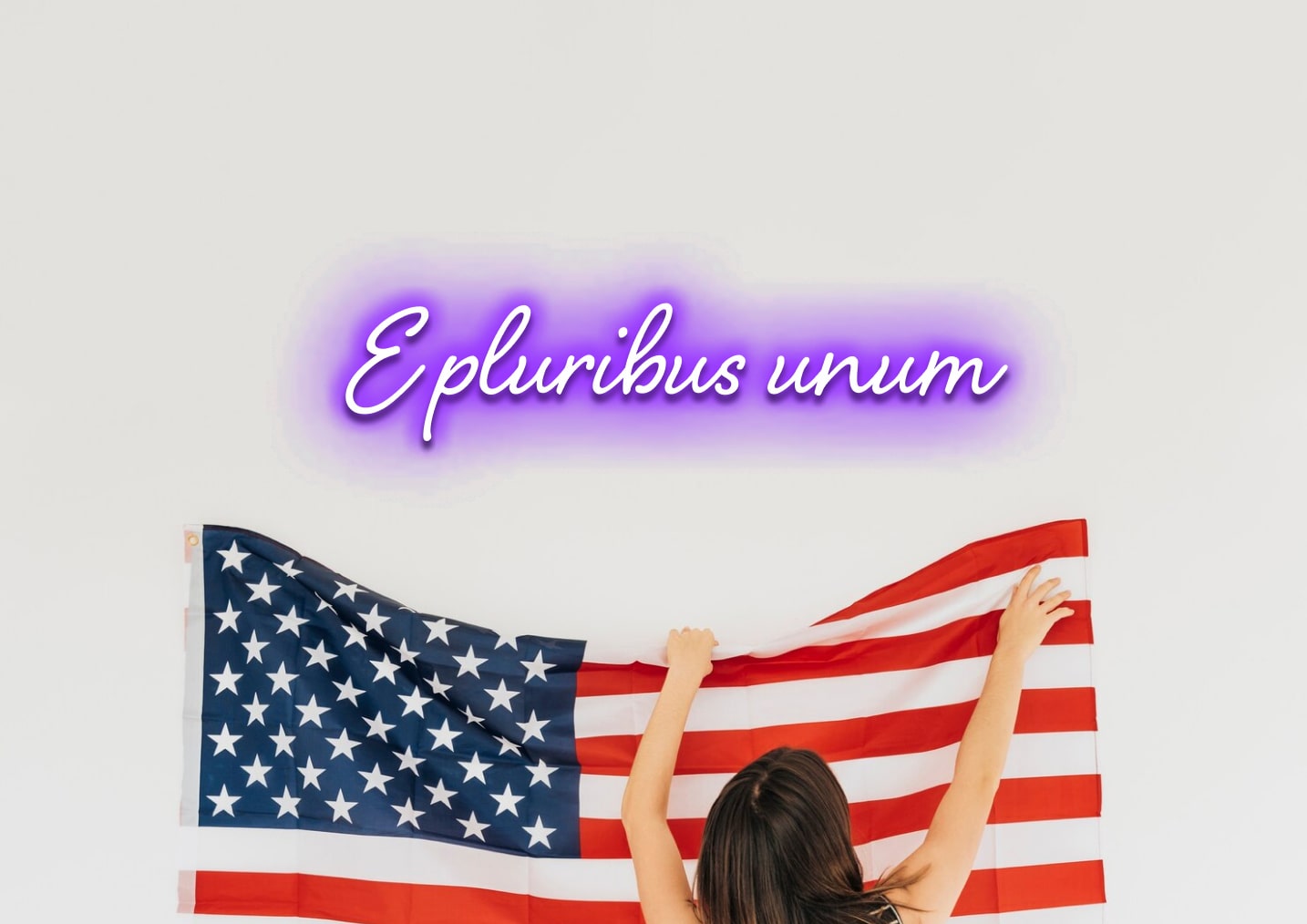 E pluribus unum - Neon Sign