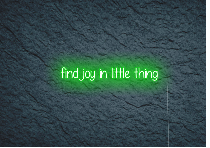 find joy in little thing - Neon Signs