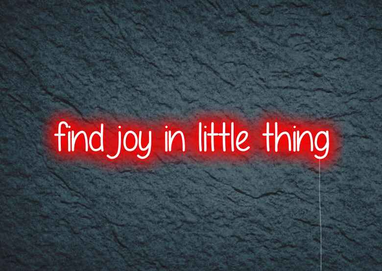 find joy in little thing - Neon Signs