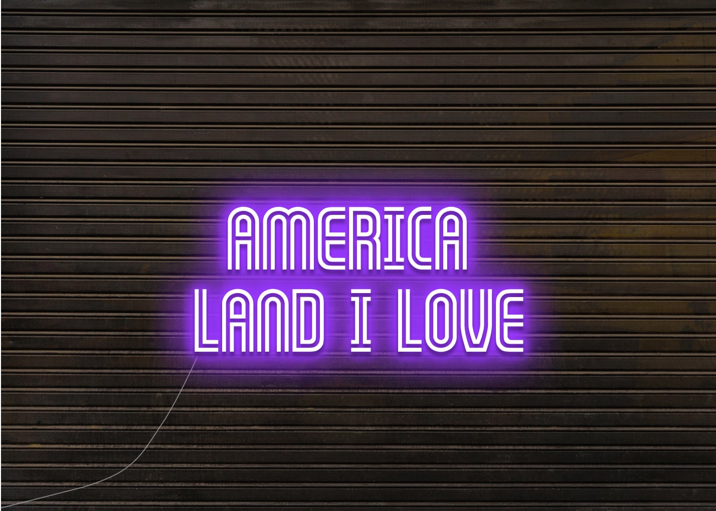 AMERICA LAND I LOVE - Neon Sign