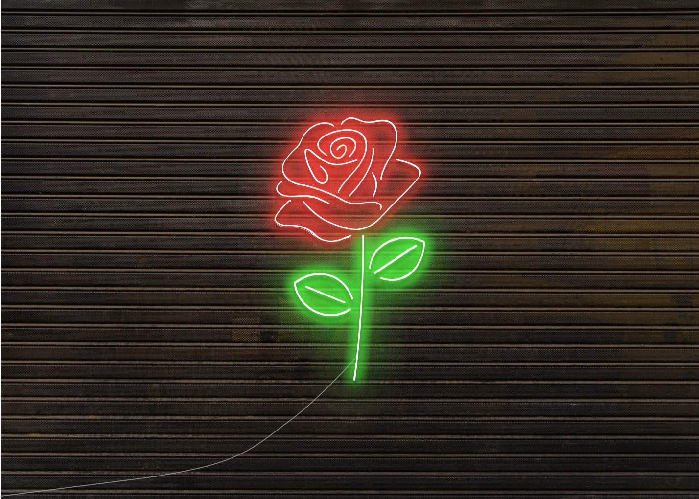 Rose Neon Signs