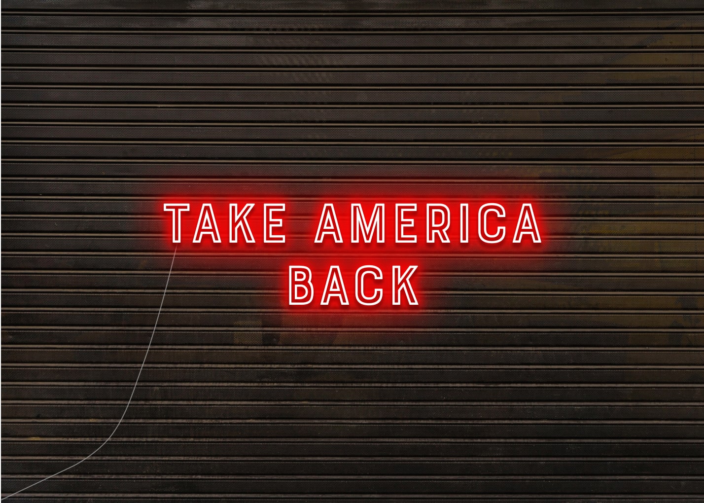 TAKE AMERICA BACK - Neon Sign